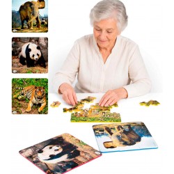 Puzzles progresivos de...