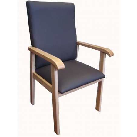 Sillon geriatrico