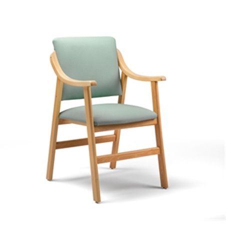Sillon geriatrico